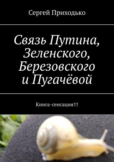 Книга Связь Путина, Зеленского, Березовского и Пугачёвой. Книга-сенсация!!! (Сергей Приходько)